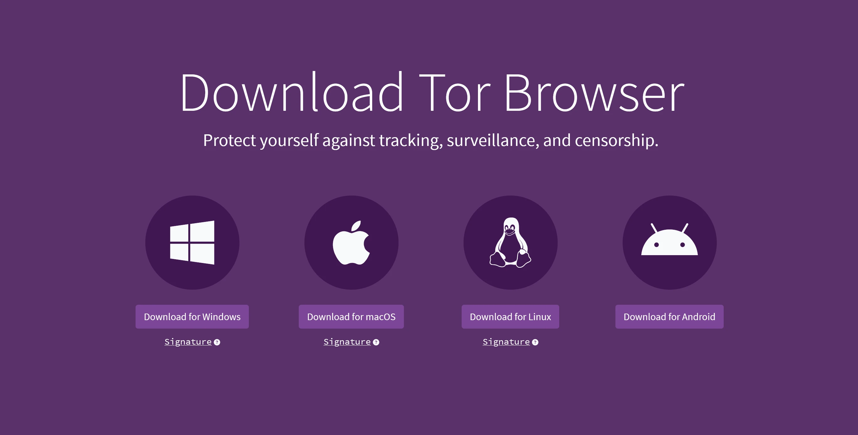 Tor Browser official download page for secure Torzon access